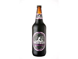 Beagle  Stout.