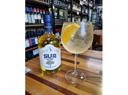 Sur Gin de Naranja and Tonic