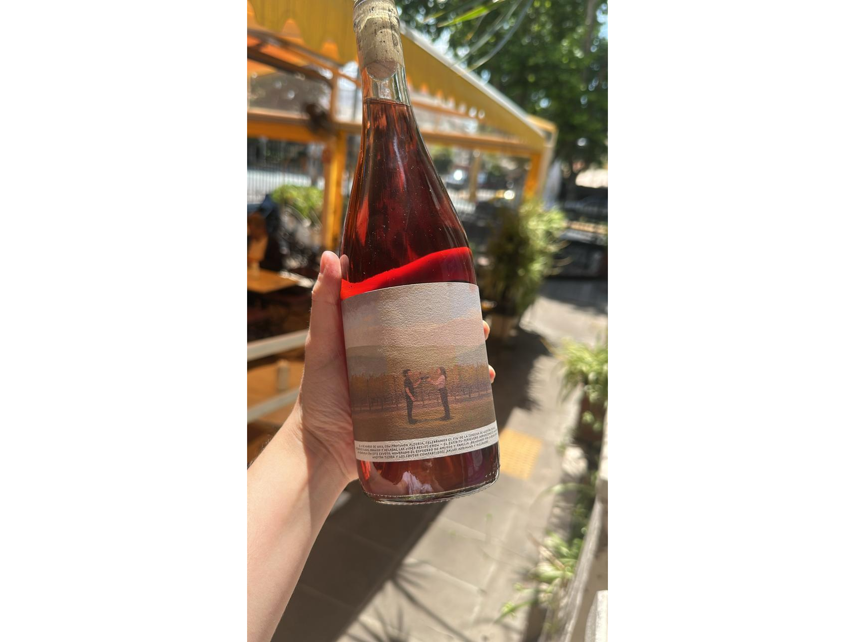 Amiguito Criolla Grande.