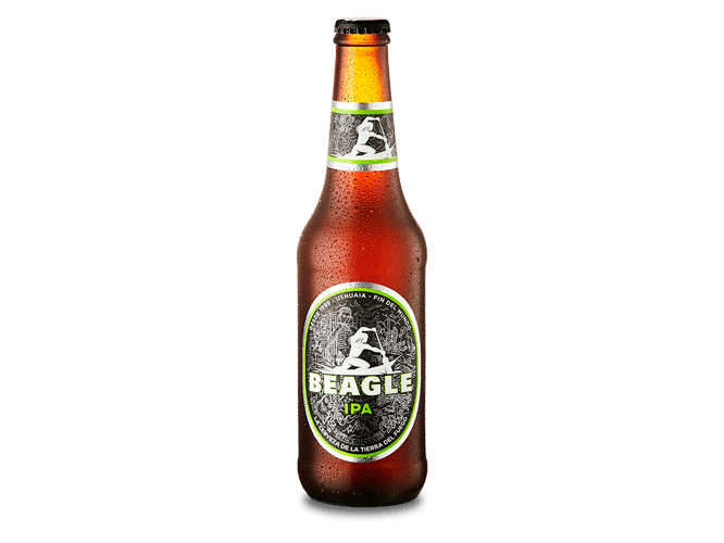 Beagle Ipa 330cc