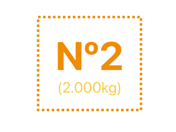 x12 MAPLES COLOR N2