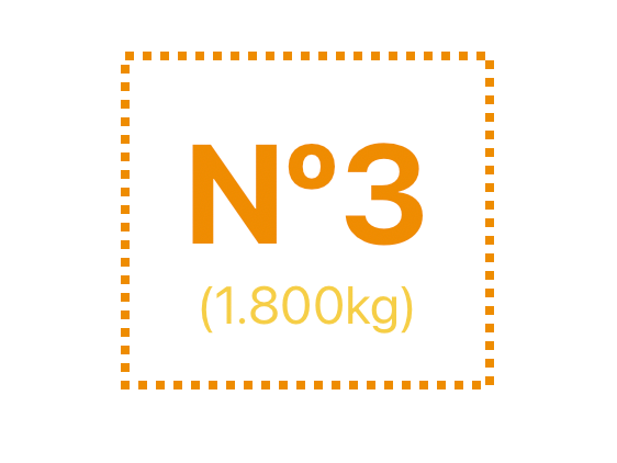 x12 MAPLES COLOR N3