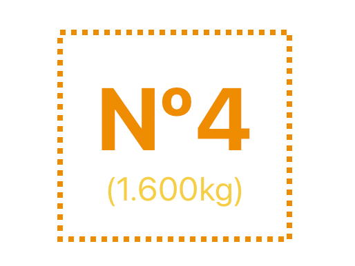 x12 MAPLES COLOR N4