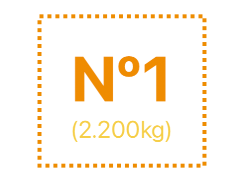 x12 MAPLES COLOR N1