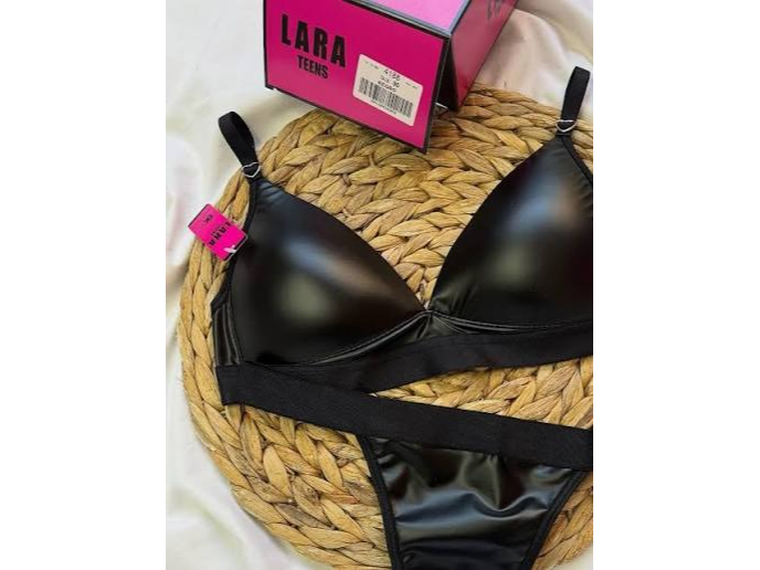 LARA 4188