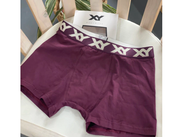 Boxer XY 1387