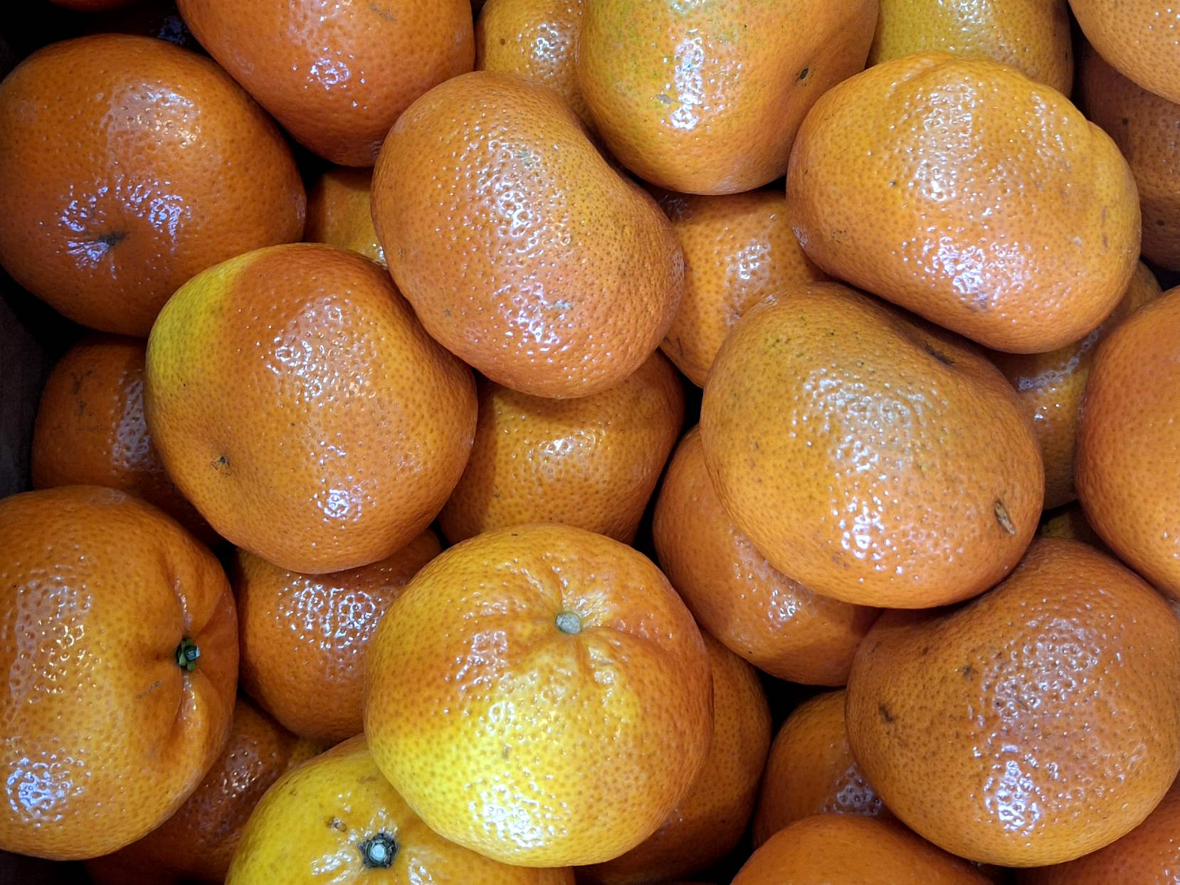 Mandarina Satsuma