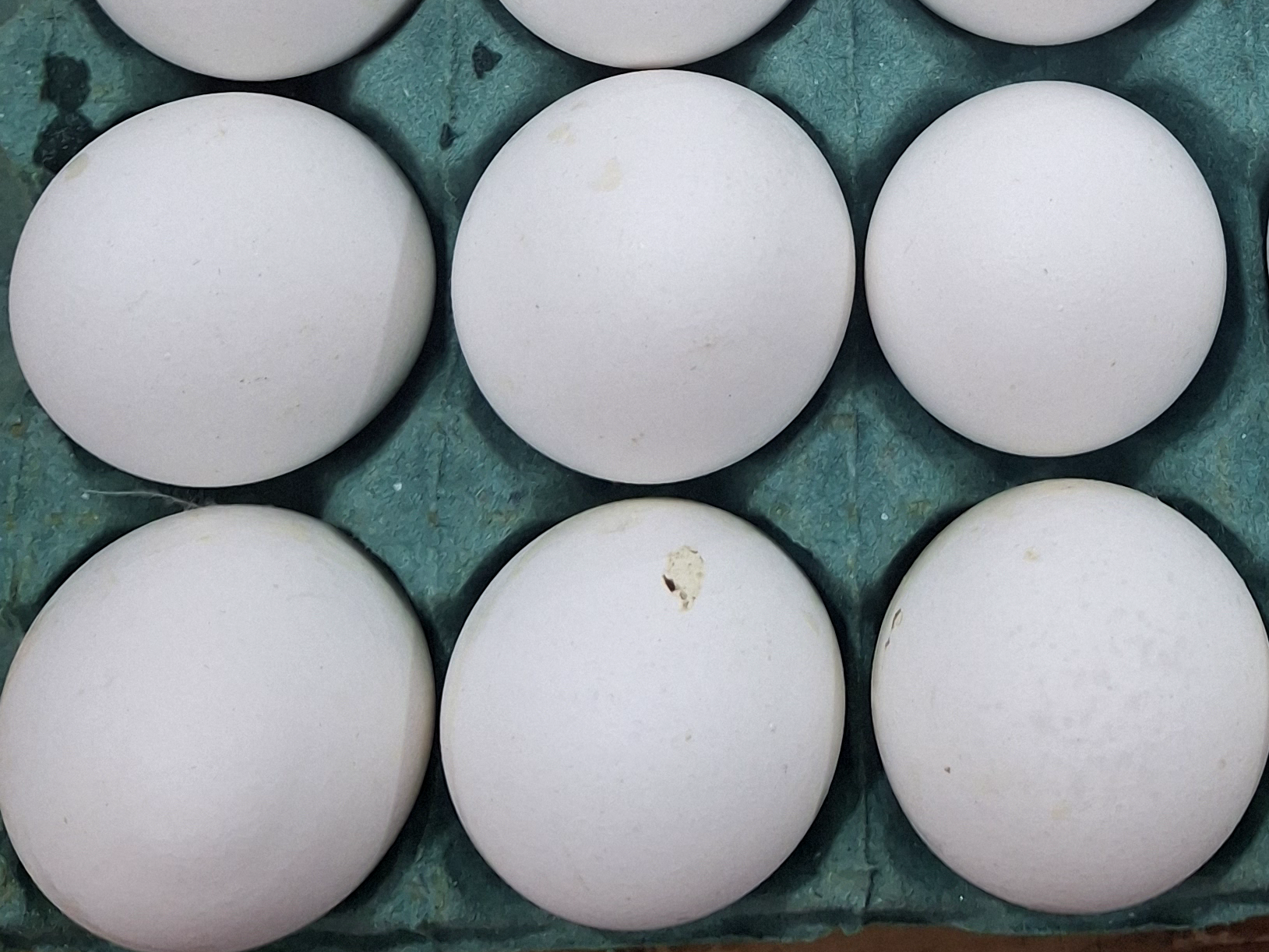 1/2 Doc. Huevos Blancos