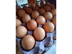 Huevos Color de DOÑA PAPA