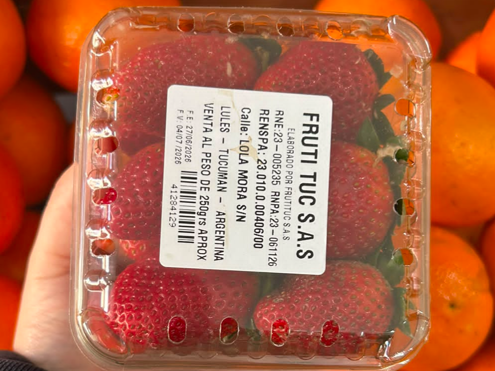Frutilla Cubeta