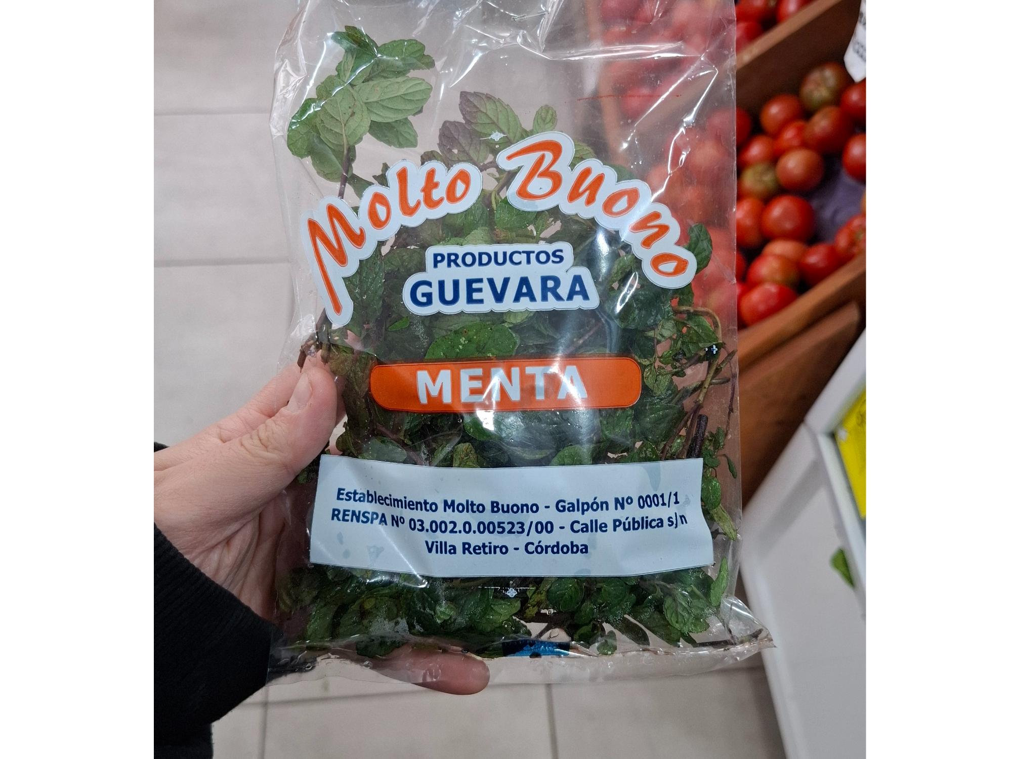 Menta