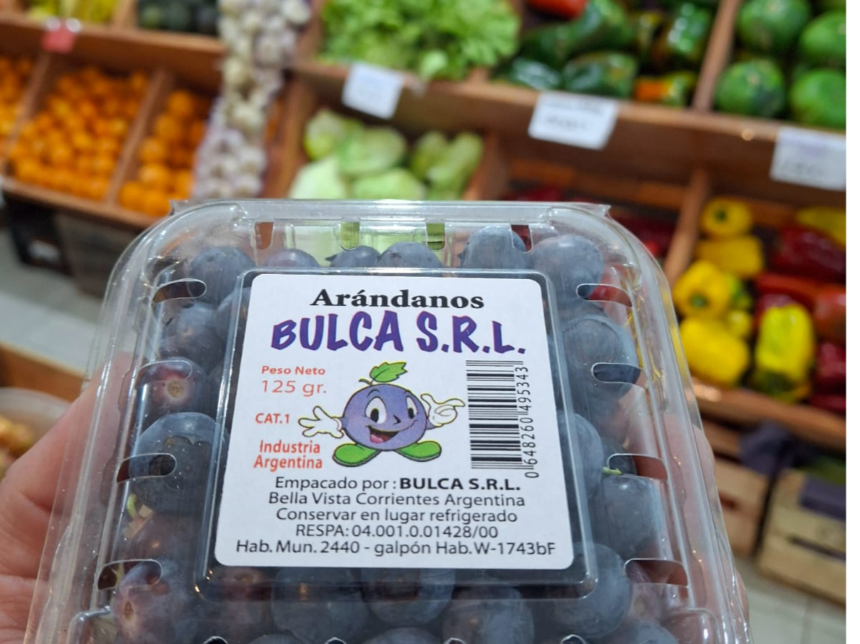 Bandeja de Arándanos.