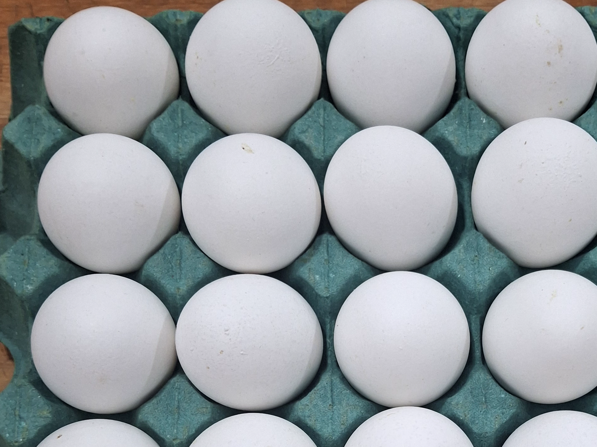 1 Doc. Huevos Blancos