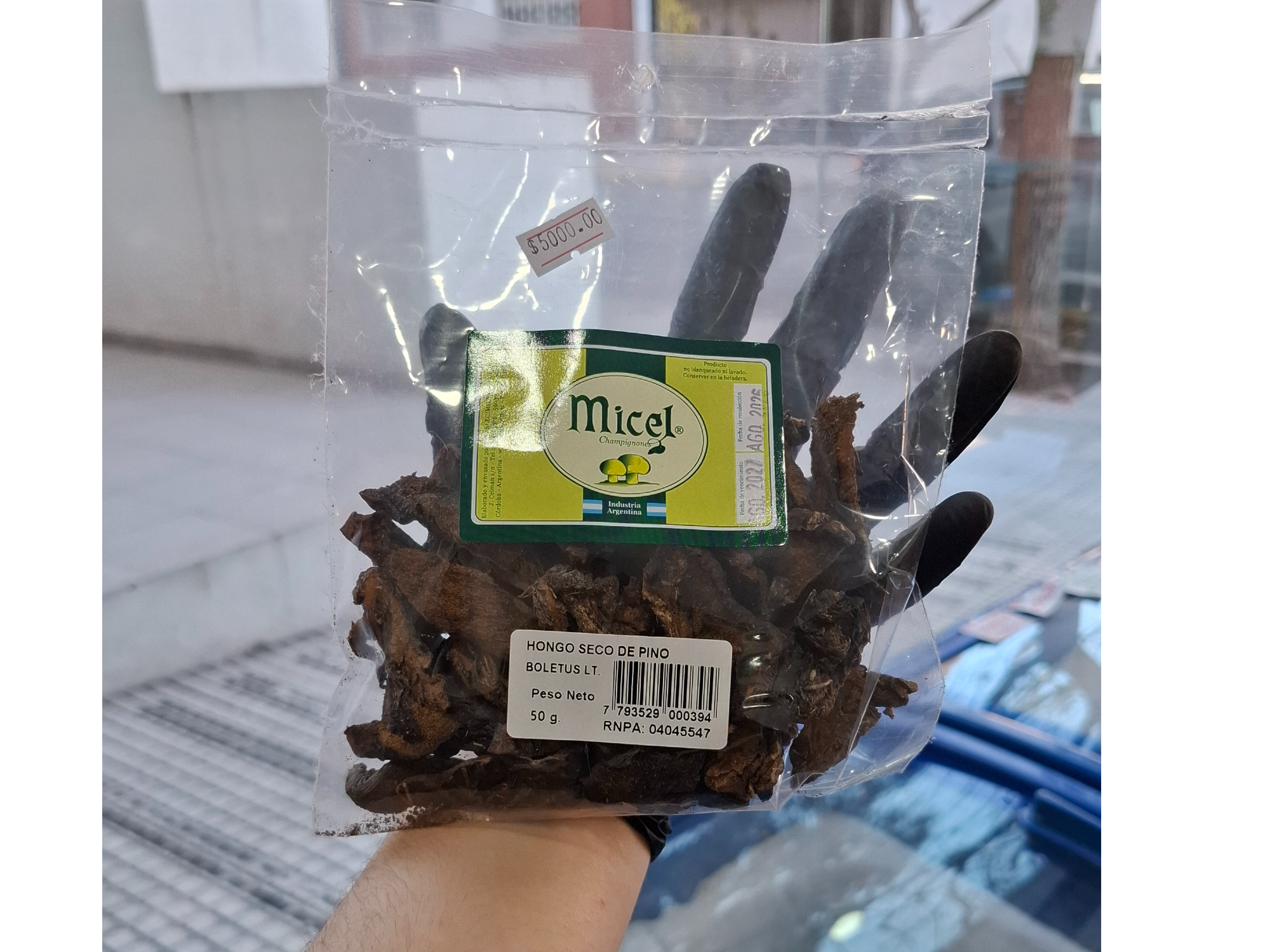 Hongos de pino
