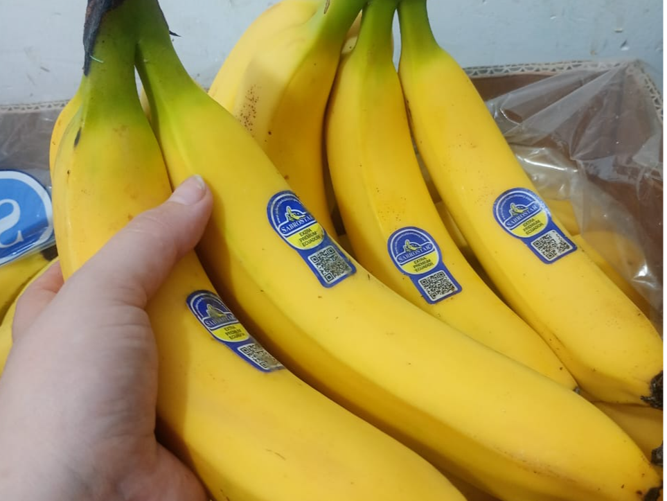 Banana Ecuador