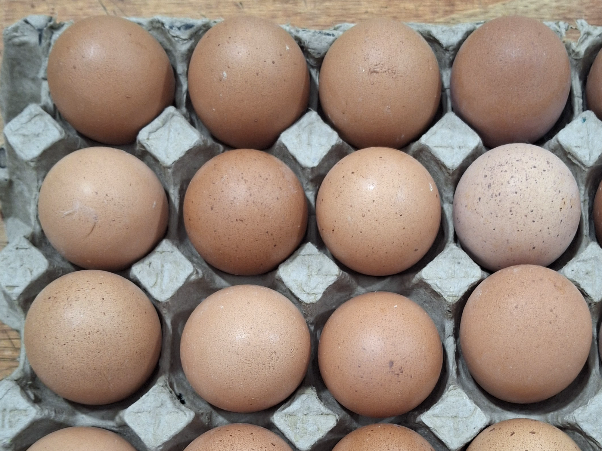 1 Doc. Huevos de Color