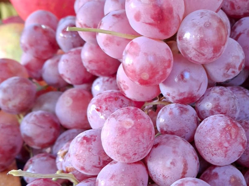 Uva Red