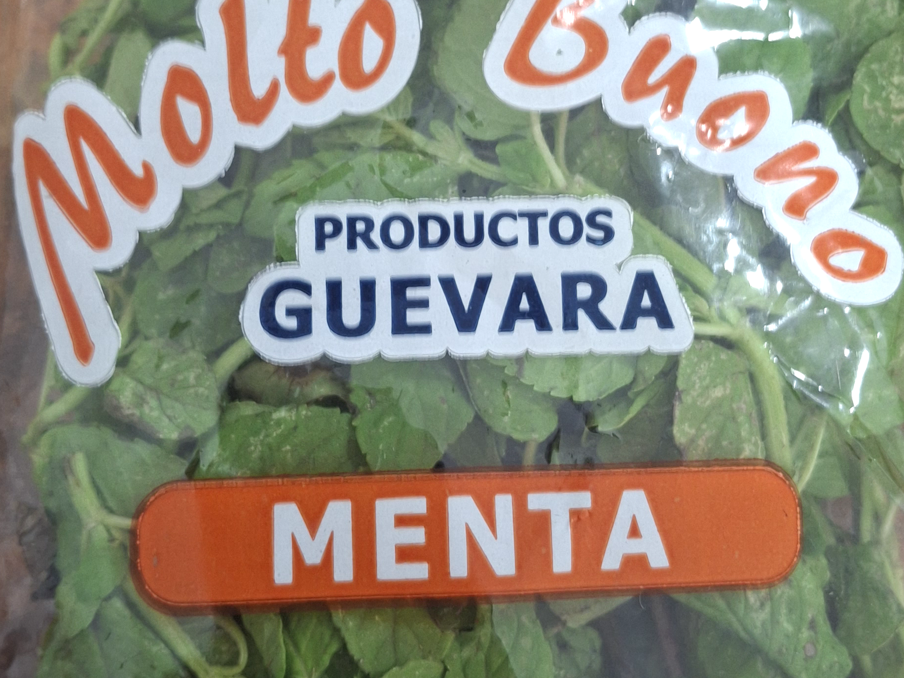 Menta