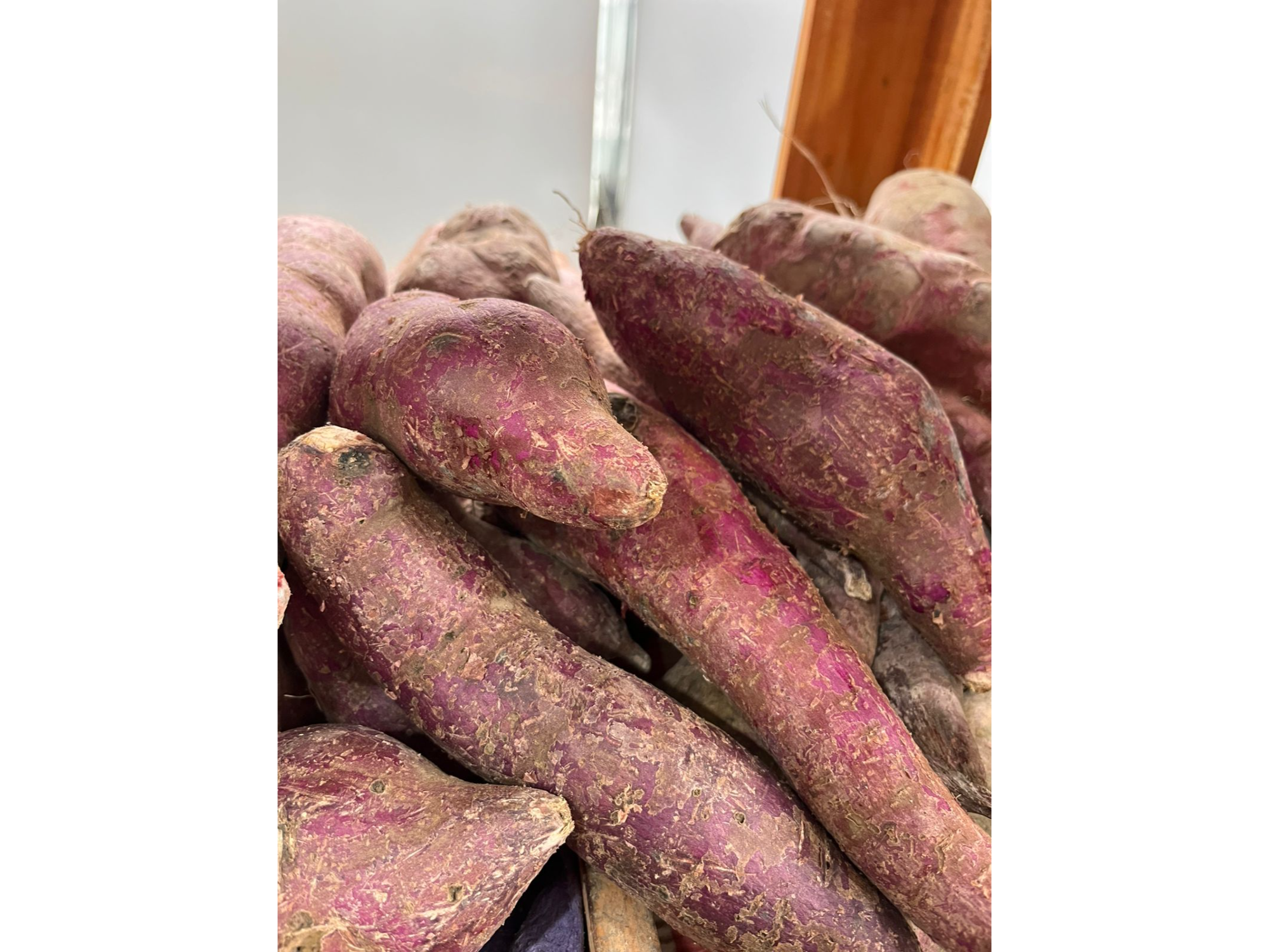 Batata