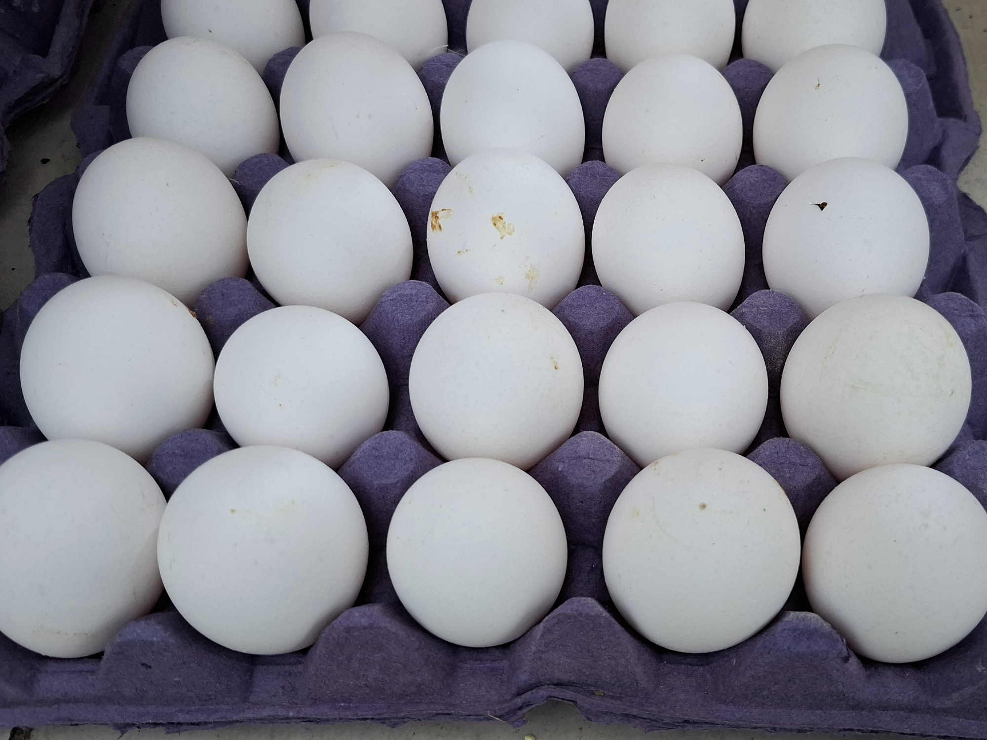 Huevos blancos