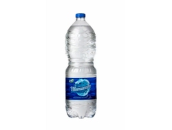 agua manaos 2l