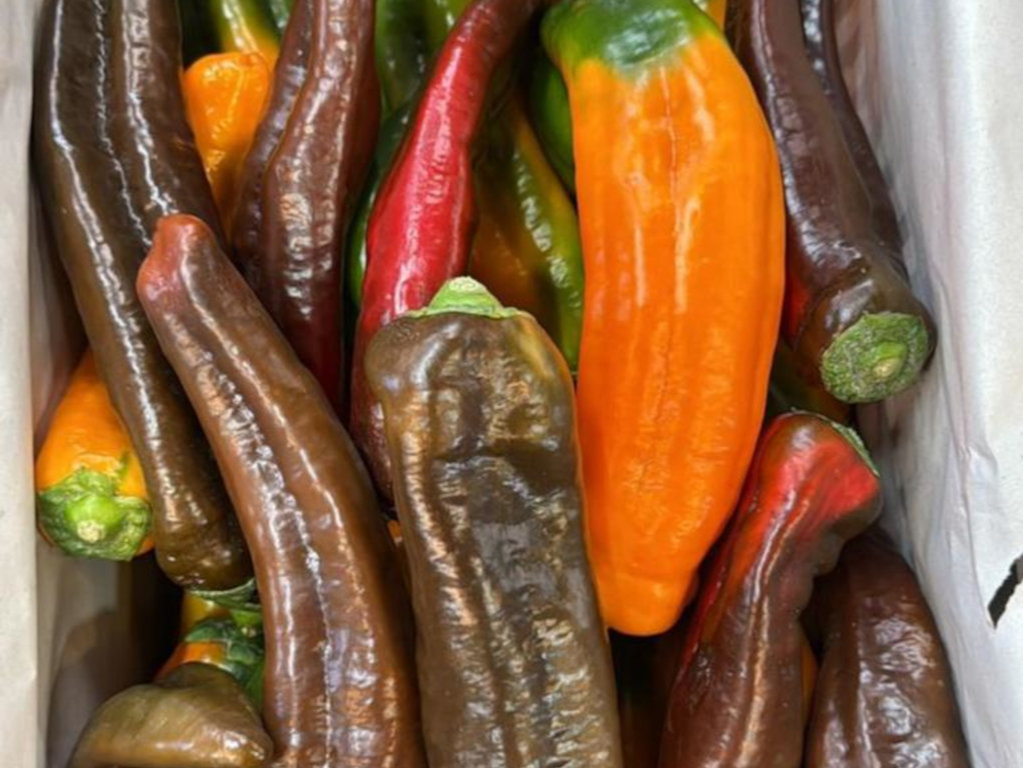 Ají Pimiento Palermo (125gr)