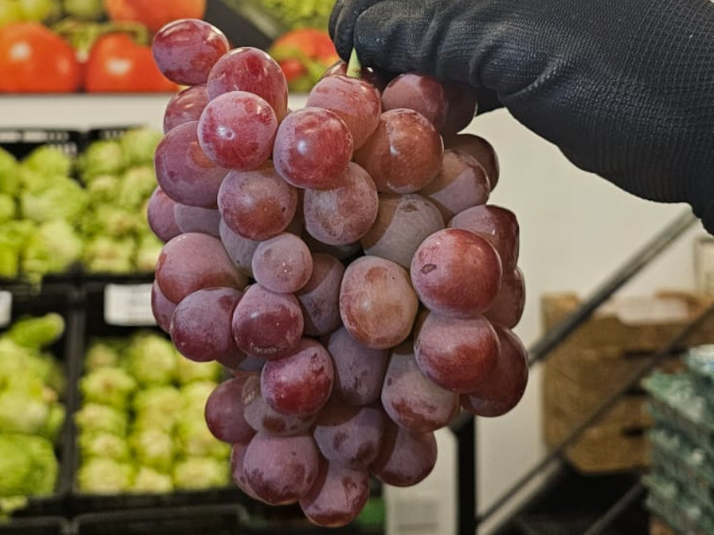 Uva Red MENDOZA (1 kg)