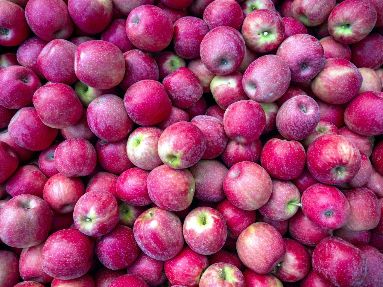 Manzana Pink Lady (KG)
