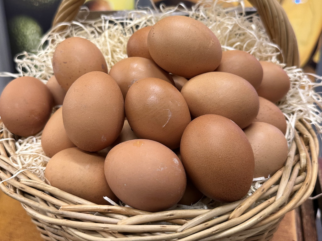 Huevo Grande (CARTON)