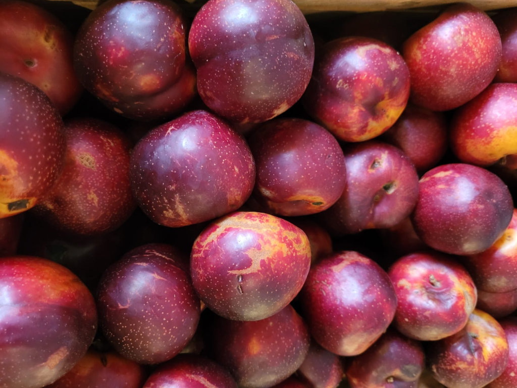 Ciruela (1 KG)