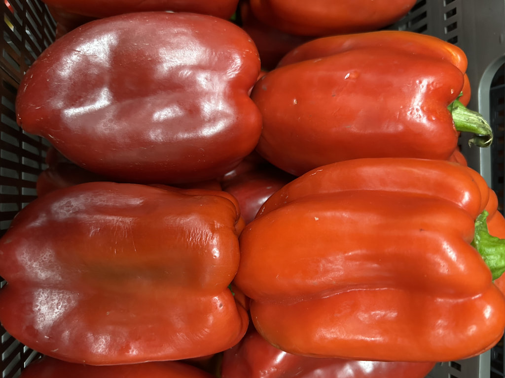 Pimiento Rojo (1/2 KG)