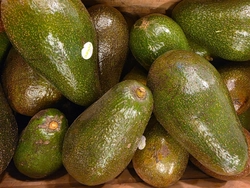 Palta nacional grande (UNIDAD)