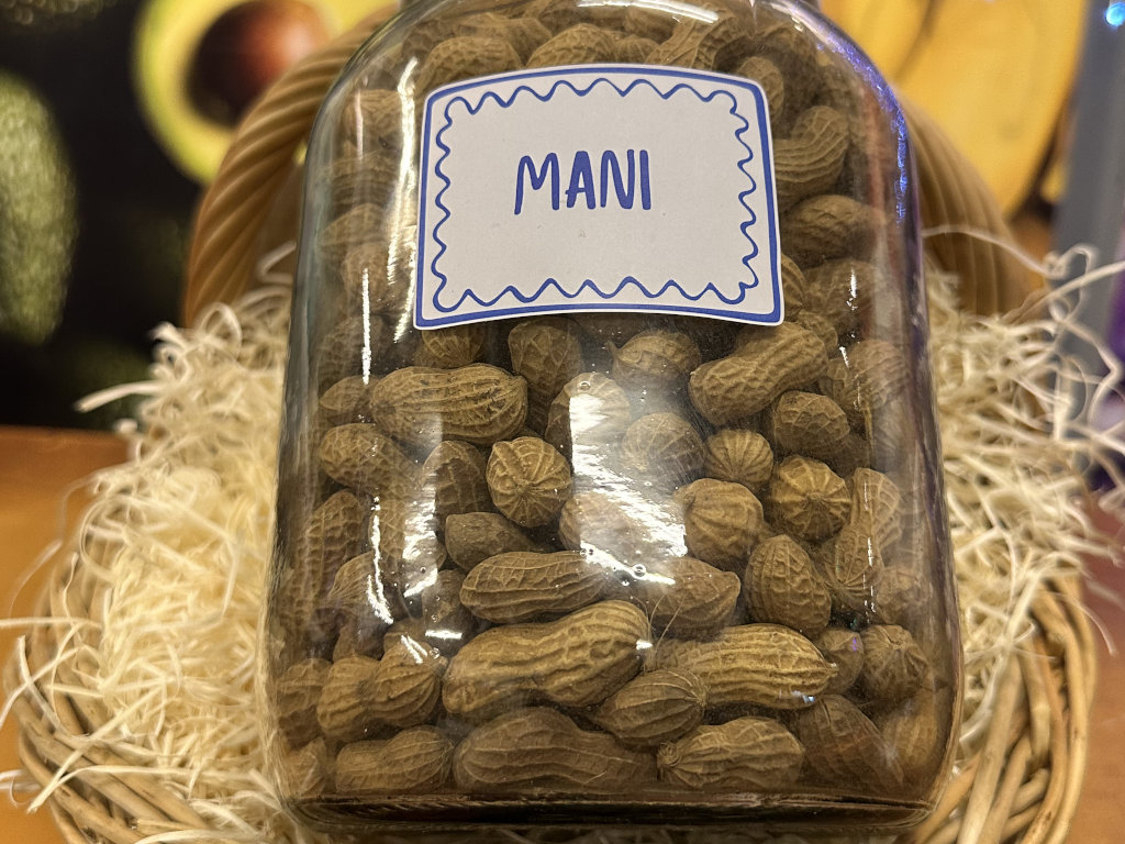Maní Con Cáscara (100GR)