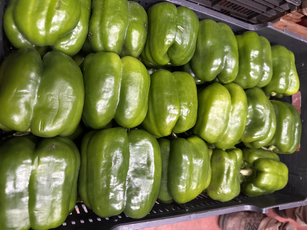 Pimiento Verde (1/2 KG)