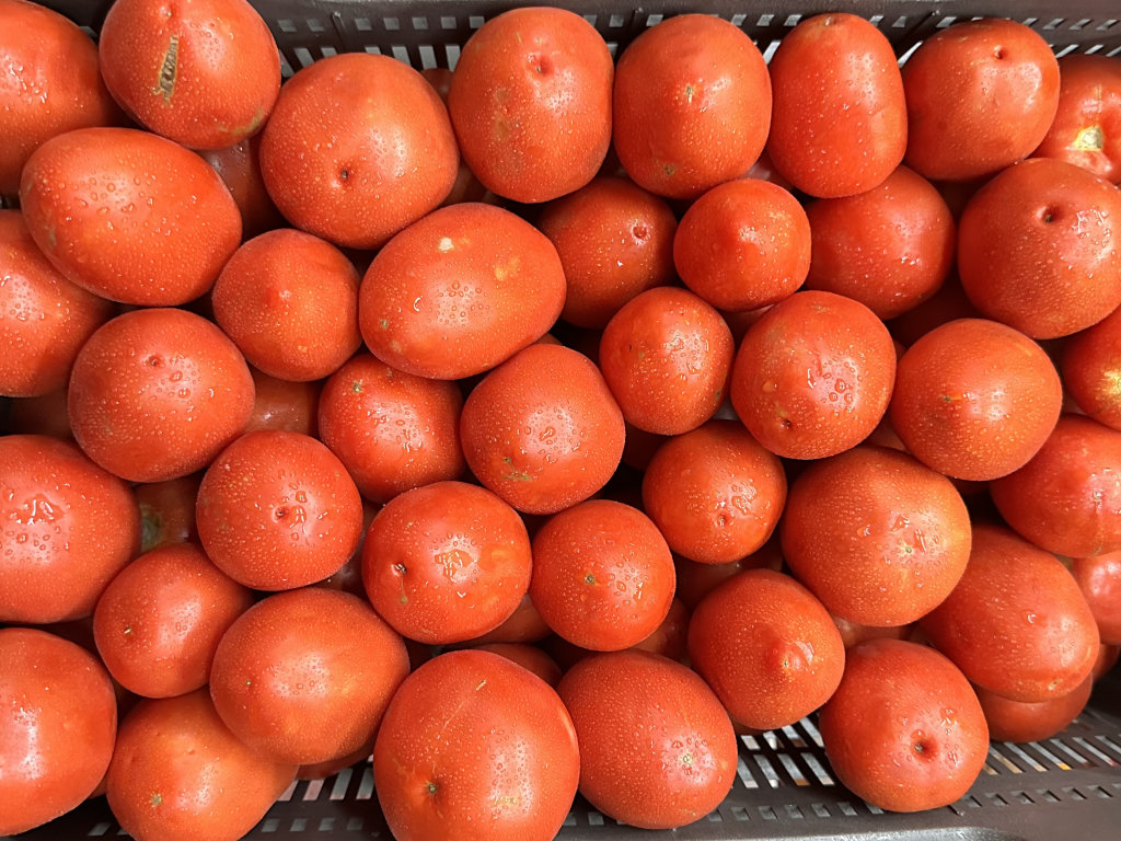 Tomate Perita (1 kg)