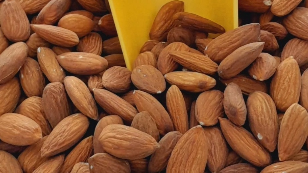 FRUTOS SECOS