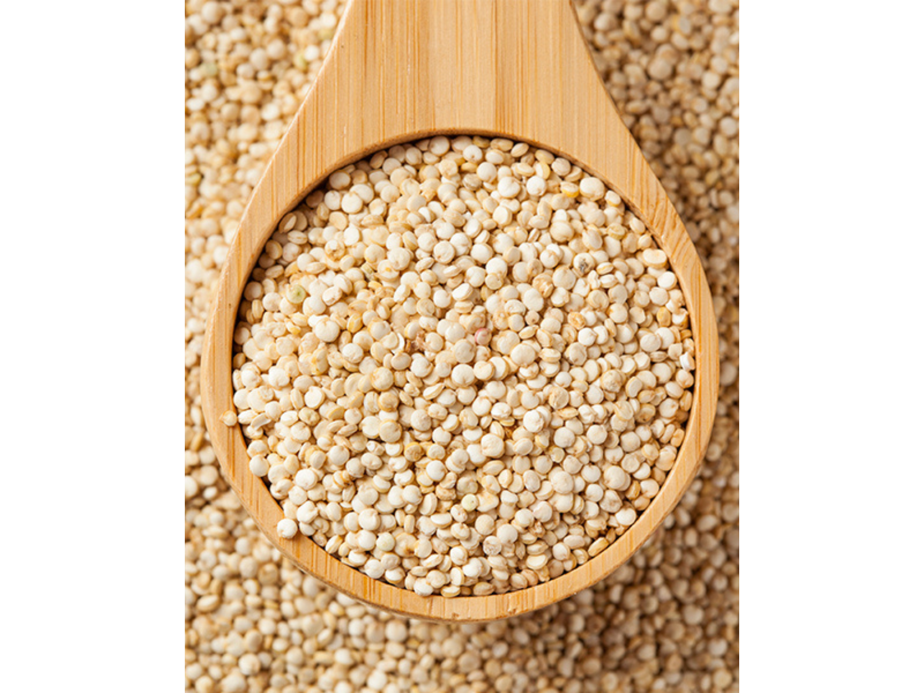 Semillas de quinoa blanca