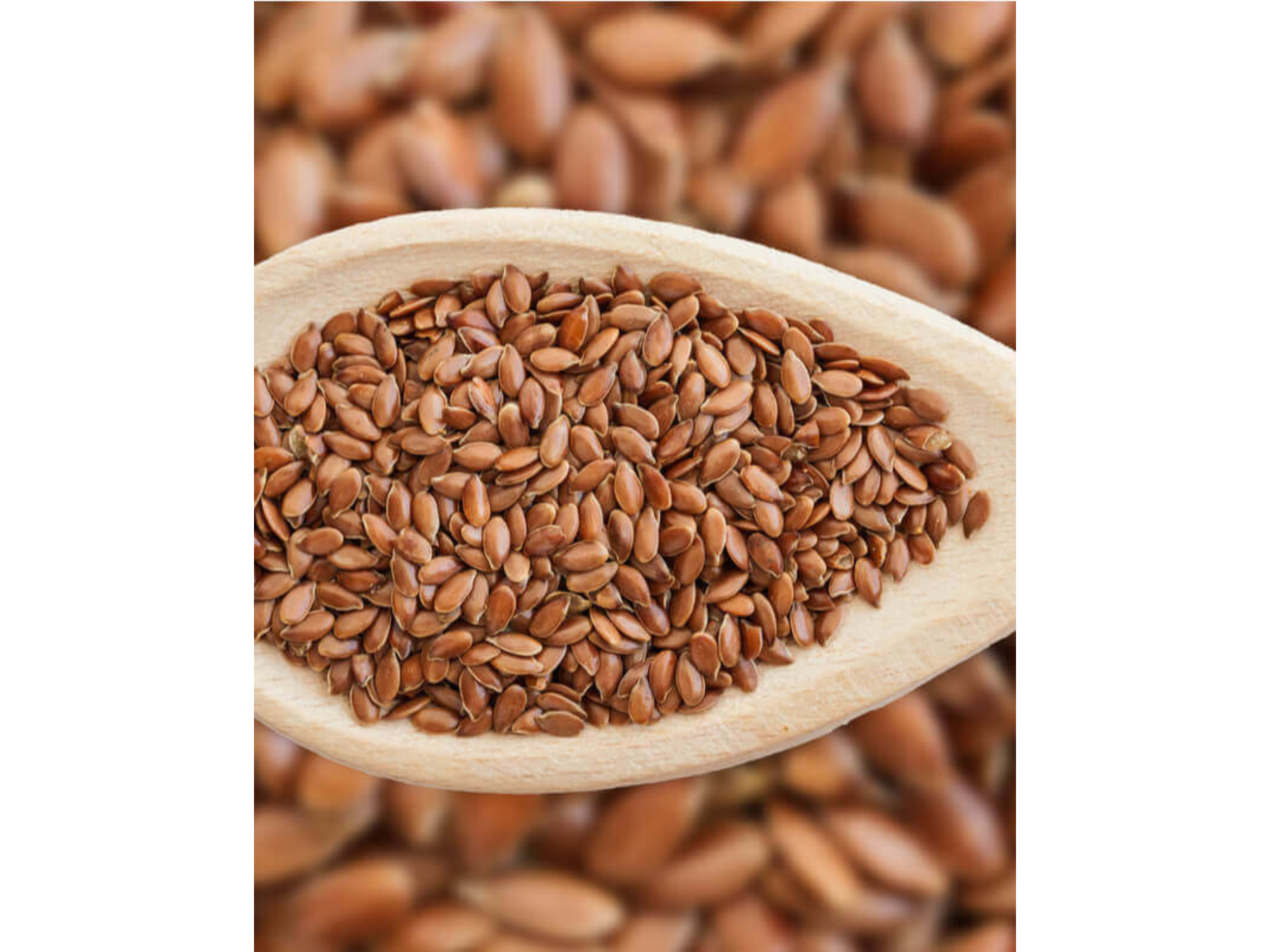 Semillas de lino