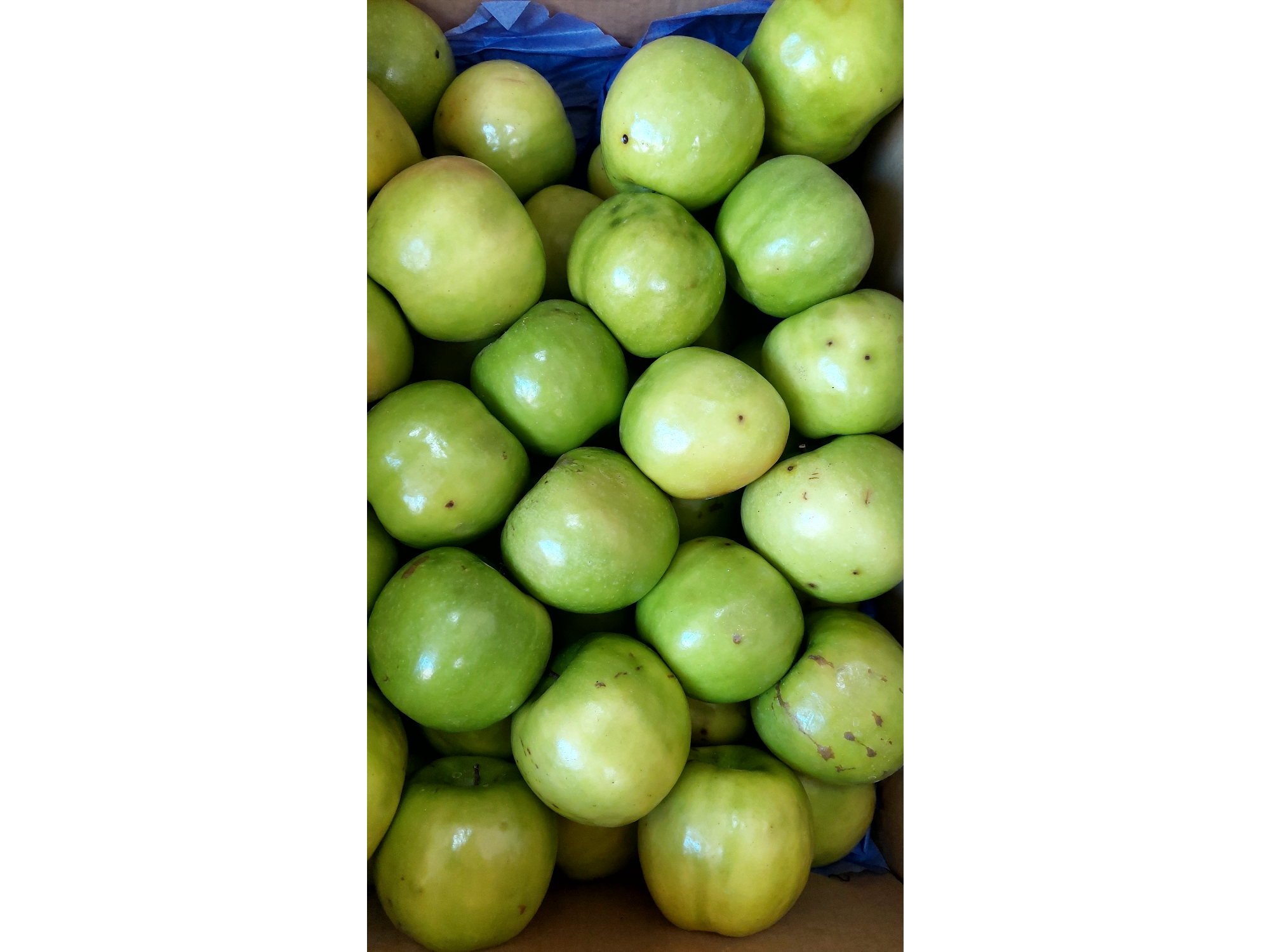 Manzana verde