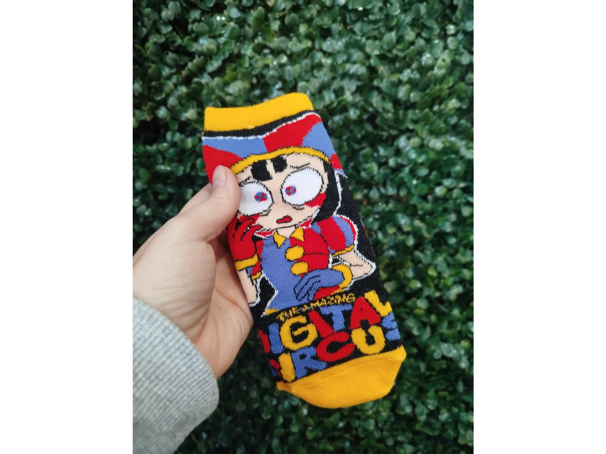 Digital circus pomni