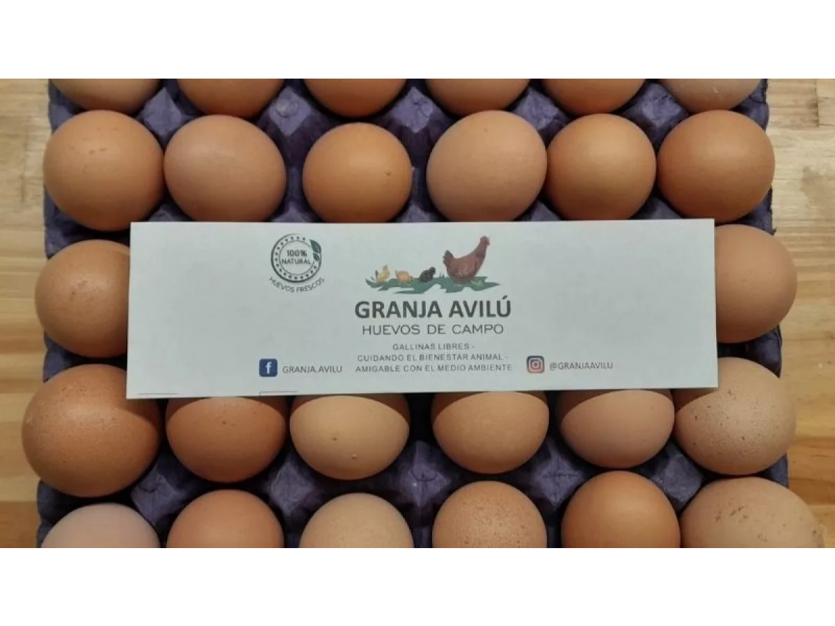 HUEVOS DE CAMPO  GRANJA AVILU