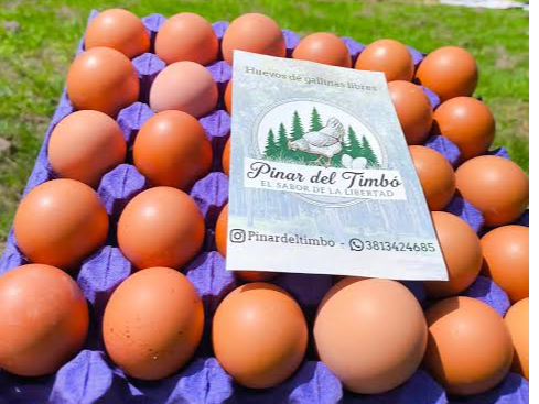 HUEVOS DE CAMPO Nº 2 GRANJA PINAR DEL TIMBO