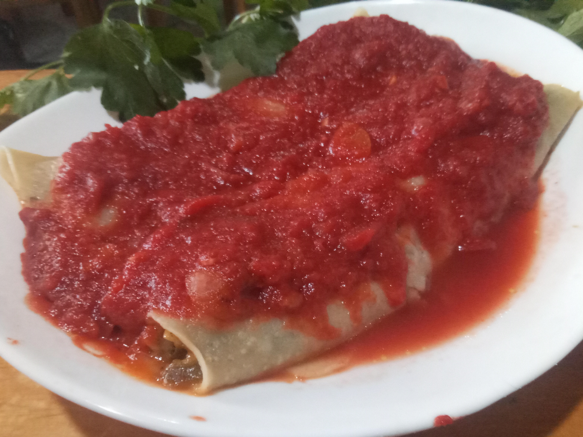 canelones  veganos