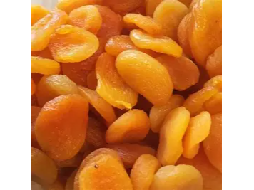 Damasco Nacional