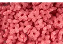 Naturitos de frutos rojos