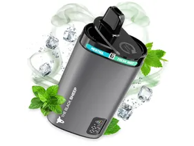MENTHOL / FRESH MINT