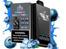 BLUEBERRY ICE