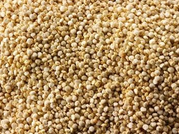 Quinoa Blanca