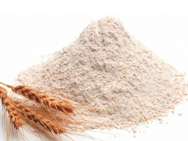 Harina de trigo integral Organica Fina  (Brotes)