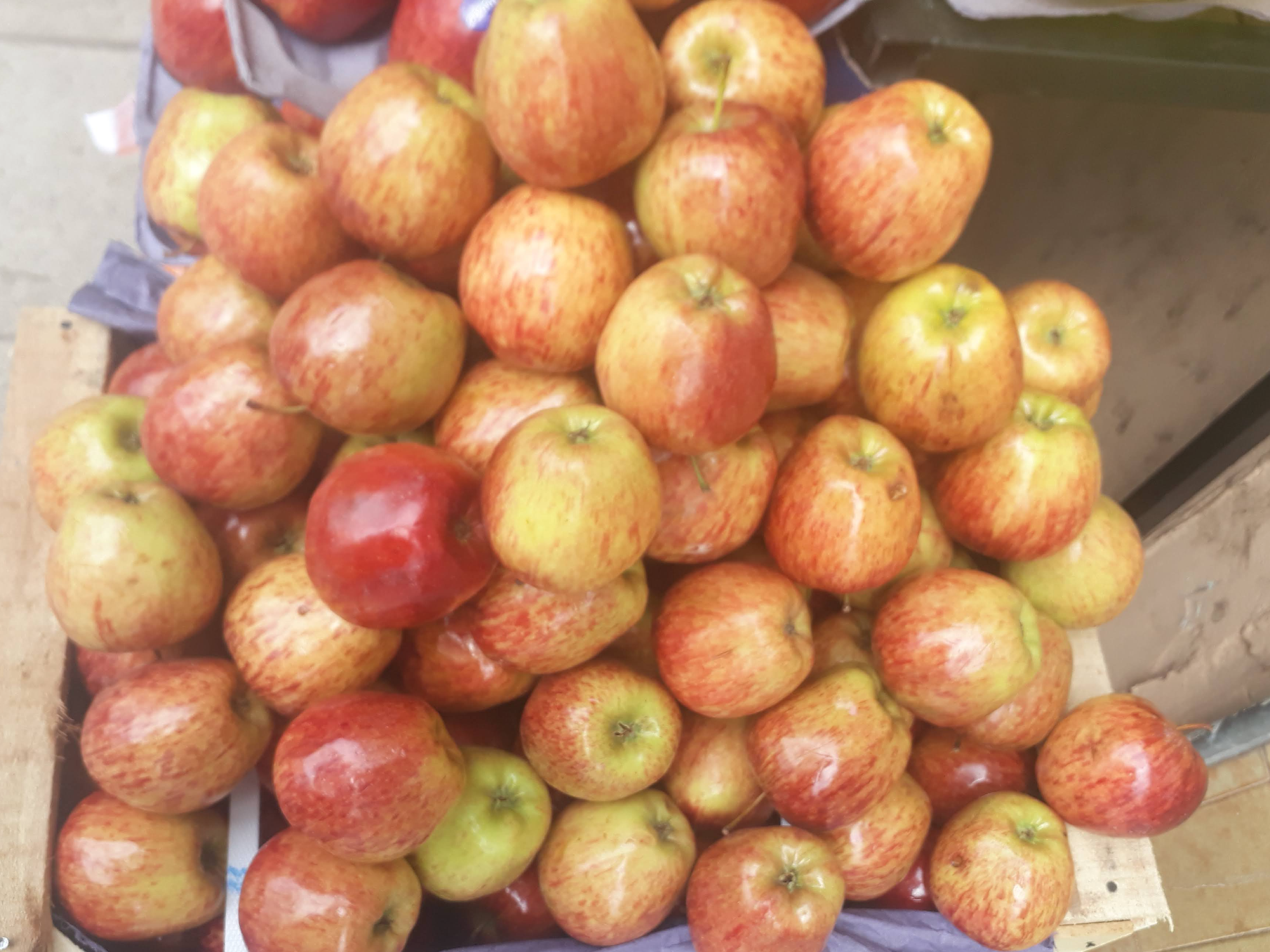 Manzanas rojas comunes